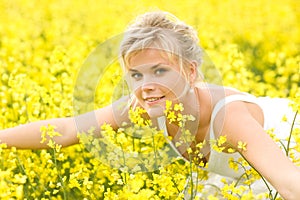 Canola field