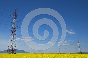 Canola field with high-voltage power lines at sun. Canola biofuel, organic photo