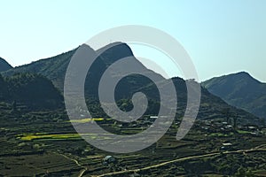 Canola field in valley