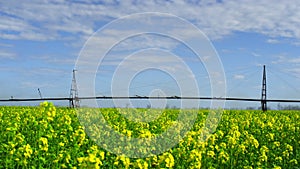 Canola flower summer field meadow on sunny day. Beautiful nature aerial view.