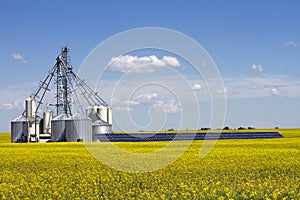 Canola Grain Silo Solar Panel