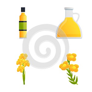 Canola icons set cartoon vector. Rapeseed oil and flower