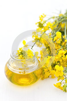 Canola oil photo