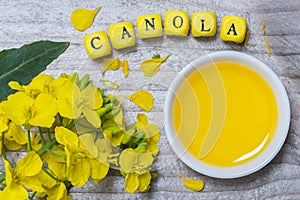 Canola with oil concept on gray wood
