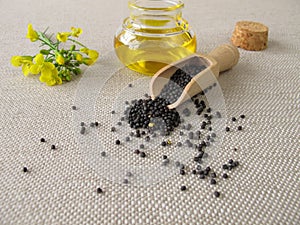 Canola oil and rapeseed photo
