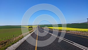 Canola road