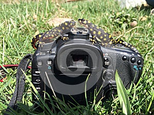 Canon 7D digital camera 18-135 lense