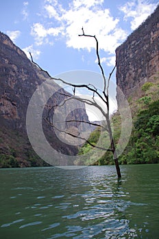 Canon del sumidero photo