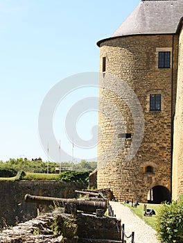 Canons and castle