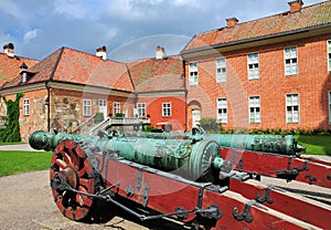 Canons in the garden of Gripsholm Castle