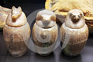 Canopus jars