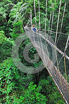 Canopy bridge