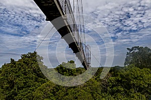 Canopy Bridge in Amazon rainforest