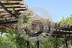 A canopy to protect from the scorching sun on the city beach.