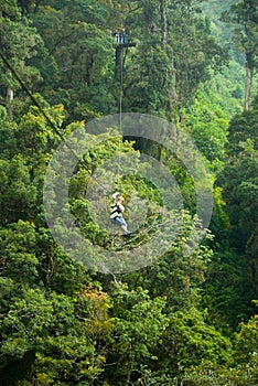 Canopy Tour photo