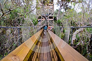 Canopy Trail, Florida