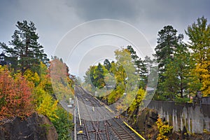 Canopy of trees with Spring colors on each side of railway track