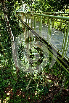 Canopy Walk Tower in the Rainforest Discovery Centre in Sepilok, Borneo, Malaysia