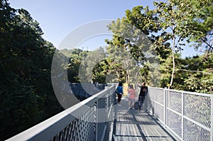 Canopy walks at Queen sirikit botanic garden Chiang Mai, Thailand