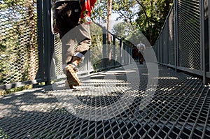 Canopy walks at Queen sirikit botanic garden Chiang Mai, Thailand