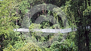 Canopy walks to explore nature. Canopy walks at Queen sirikit botanic garden Chiang Mai, Thailand.