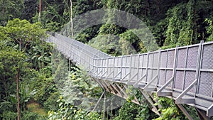 Canopy walks to explore nature. Canopy walks at Queen sirikit botanic garden Chiang Mai, Thailand.