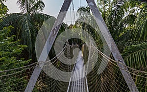 Canopy walkway as seen at the Lekki Conservation Center in Lekki, Lagos Nigeria.