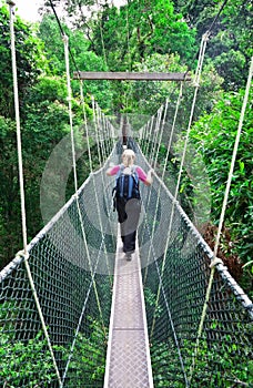 Canopy Walkway Borneo