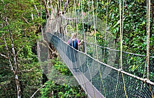 Canopy Walkway Borneo