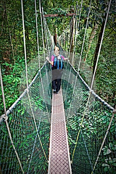 Canopy Walkway Borneo