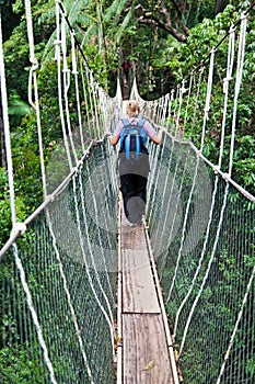 Canopy Walkway Borneo