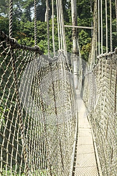 Canopy walkway in Kakum National Park, Ghana