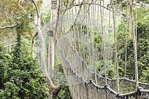 Canopy walkway in Kakum National Park, Ghana