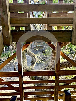 Canopy Walkway at Myakka River State Park