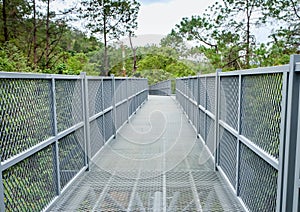 Canopy walkways or treetop walkways. Early walkways consisted of bridges between trees in the canopy of a forest; mostly linked up