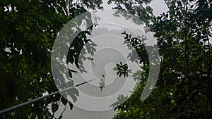 Canopy / Zipline in the cloud forest of Monteverde and Santa Elena, Costa Rica.