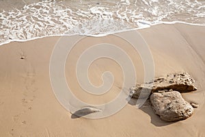 Canos de Meca Beach, Cadiz, Andalusia photo