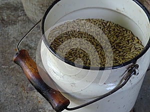 Cans with grain