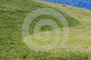 The meadows on the Cansiglio plateau