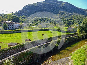 Cantabria landscape with field,grasing horses, mountains and a small village. Spain photo