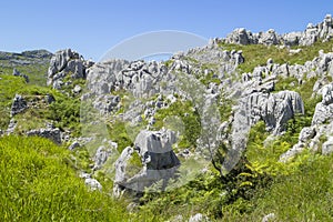 Cantabria, Liendo municipality photo