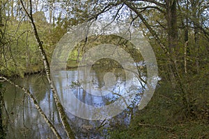 Cantabria, river Nansa