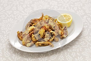 Cantabrian fried squid, rabas de calamar