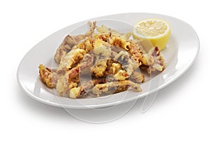 Cantabrian fried squid, rabas de calamar photo