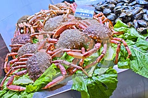 Cantabric Spider-Crab, South Market, GijÃÂ³n, Spain photo