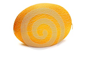 Cantalope