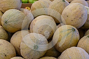 Cantalopes