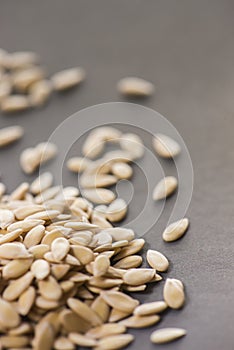 Cantaloup seeds on gray background