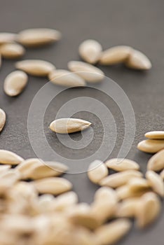 Cantaloup seeds on gray background