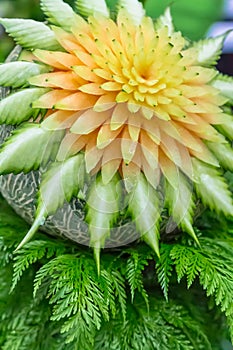 Cantaloupe fruit carving in the garden.